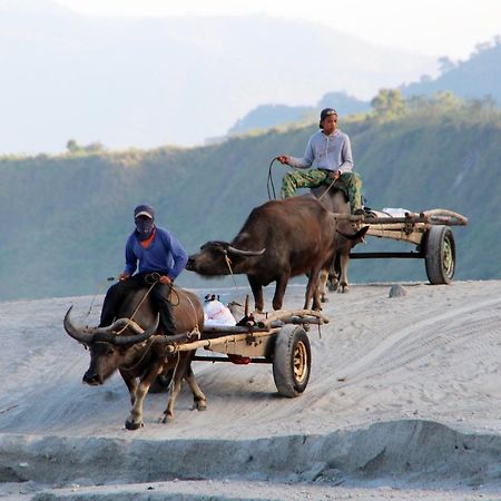 Bognot Lodge : Alvin Bognot Mt Pinatubo Guesthouse And Tours Santa Juliana Luaran gambar