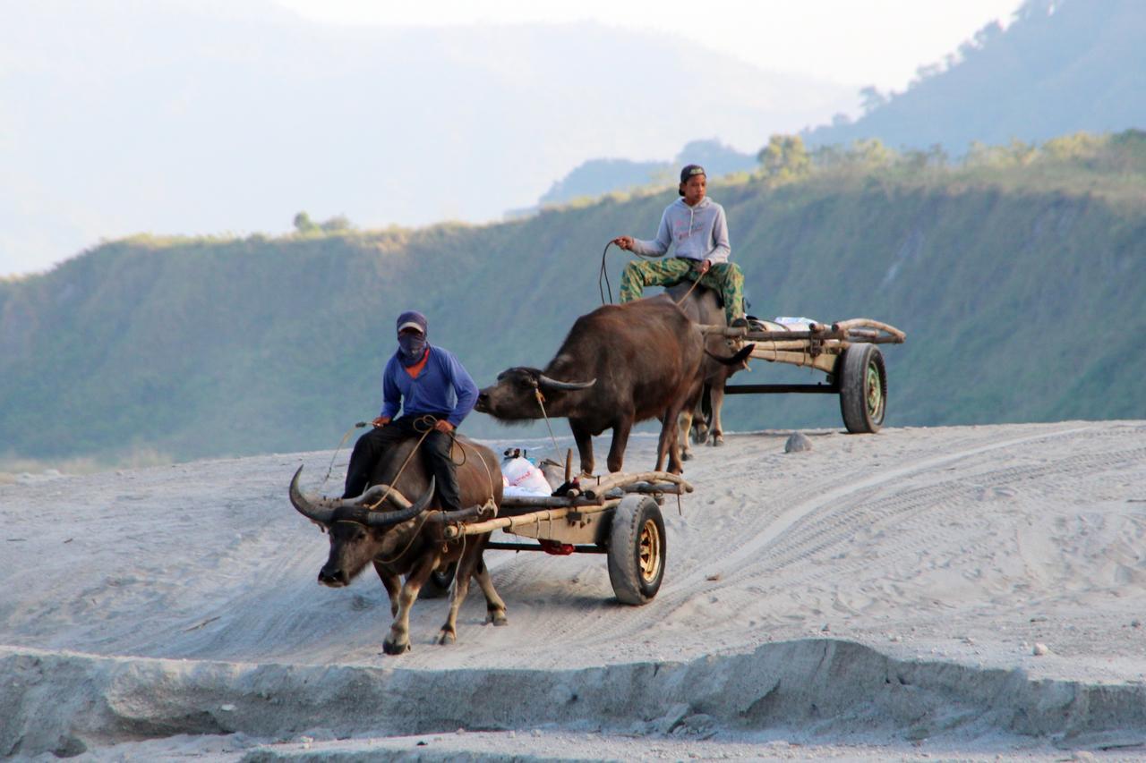 Bognot Lodge : Alvin Bognot Mt Pinatubo Guesthouse And Tours Santa Juliana Luaran gambar